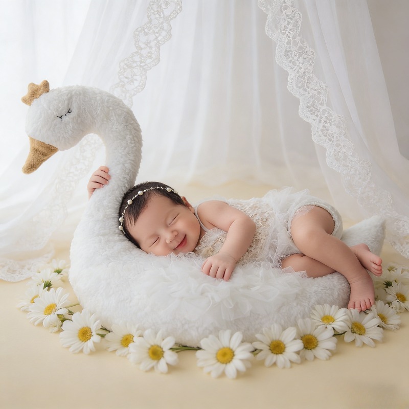 Newborn Photography Prop Swan  - Photography Outfit 评论和价格