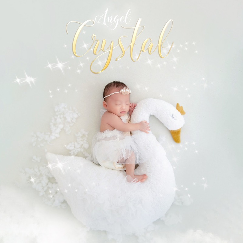 Newborn Photography Prop Swan  - Photography Outfit 评论和价格