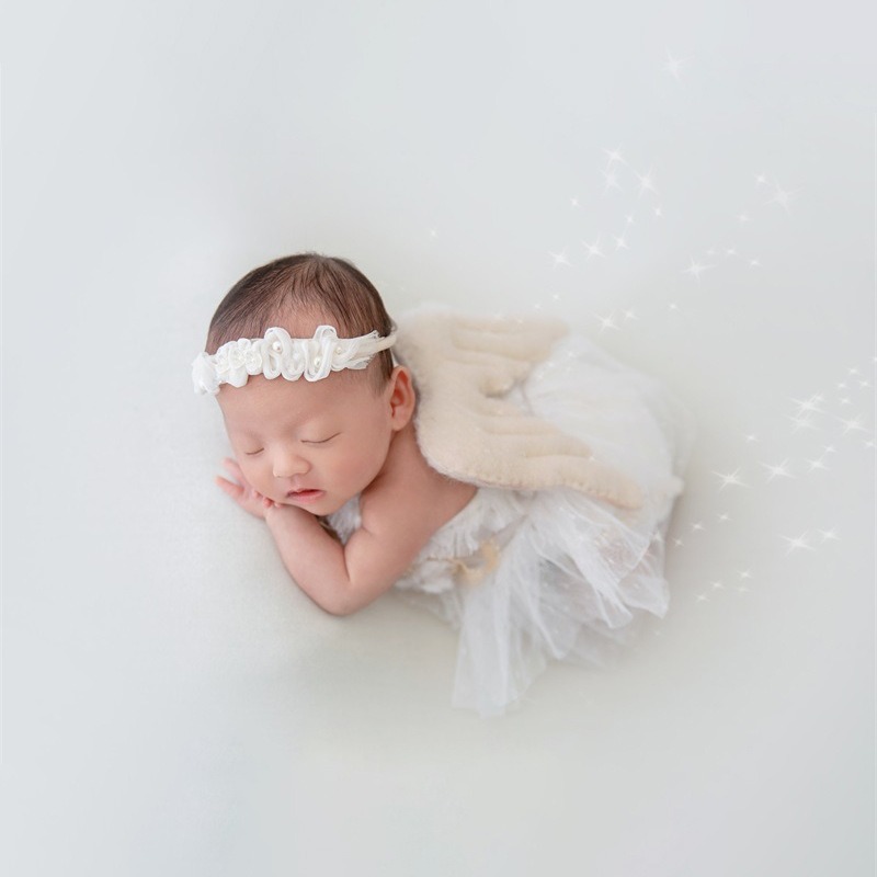 Newborn Photography Prop Swan  - Photography Outfit 评论和价格