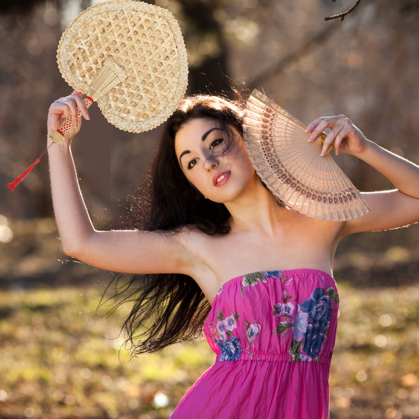 Woven Straw Hand Fan Portable  - Photography Day 评论和价格